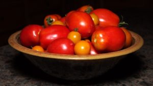 A handcrafted pottery bowl filled with farm fresh tomatoes ready for canning into sauce. The tomatoes were picked from the gardens at Pioneer Mountain Homestead. The homestead is located near Raystown Lake in south central Pennsylvania.