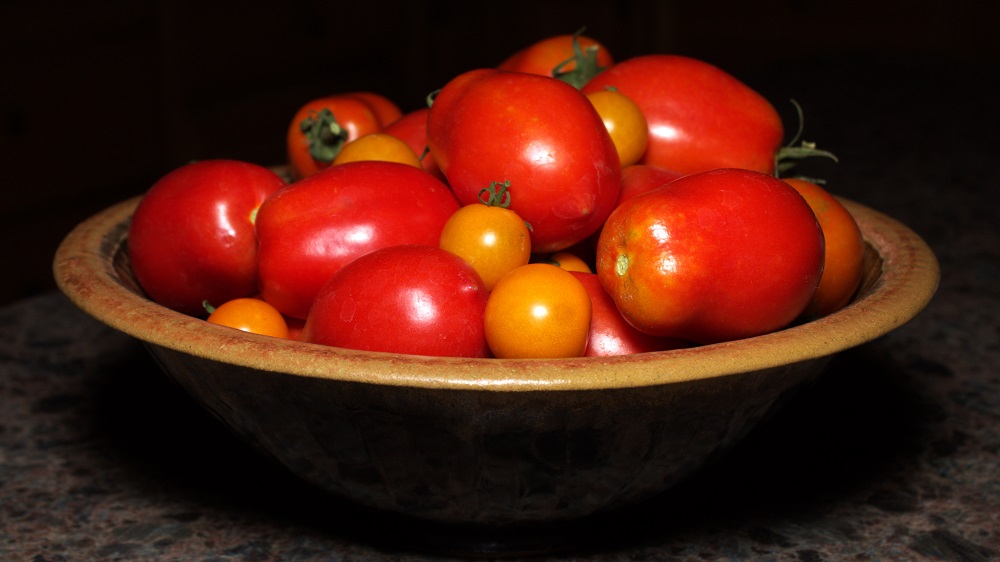 Tomato season is here!