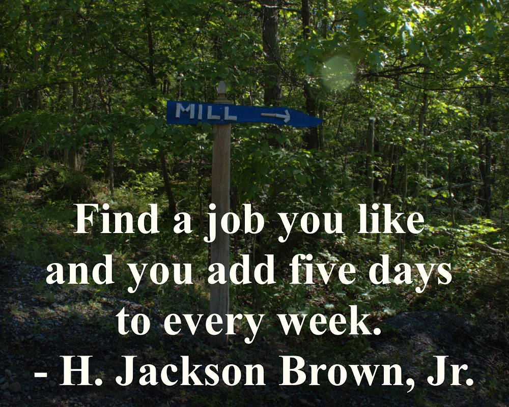 REDIRECTED “Find a job you like and you add five days to every week.” – H. Jackson Brown, Jr.