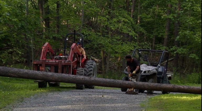 Chuck and Mike working on sawing a log with the new Stihl chainsaw. The Massey Ferguson and the Yamaha Rhino are out to help as well.