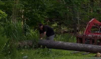 Chuck's brother, Mike, helping us to fell trees while trying out the new Stihl chainsaw.