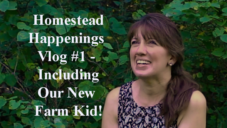 redirected Homestead Happenings Vlog September 4, 2020