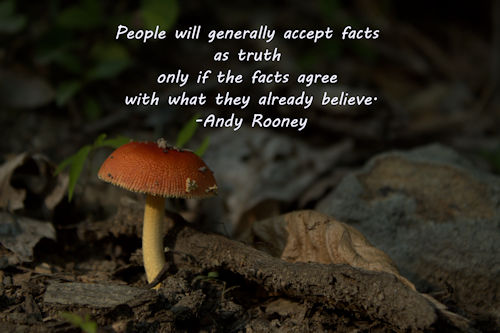 REDIRECT “People will generally accept facts as truth only if the facts agree with what they already believe.” – Andy Rooney