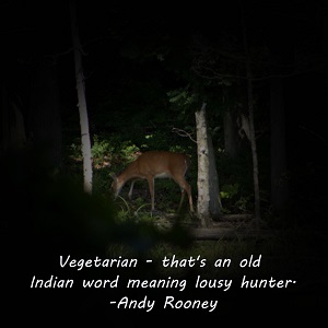 A deer standing by the pond. The quote “Vegetarian - that's an old Indian word meaning lousy hunter”. -Andy Rooney is on the picture