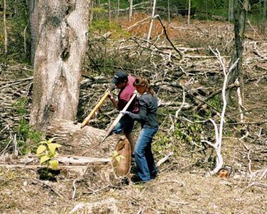 Pioneer Mountain Homestead - About - Location and Accessibility