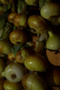 Onions curing