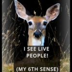 I See Live People-my 6th sense