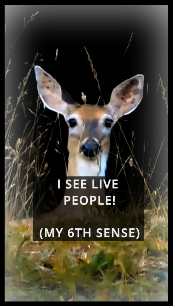 I See Live People – My 6th Sense