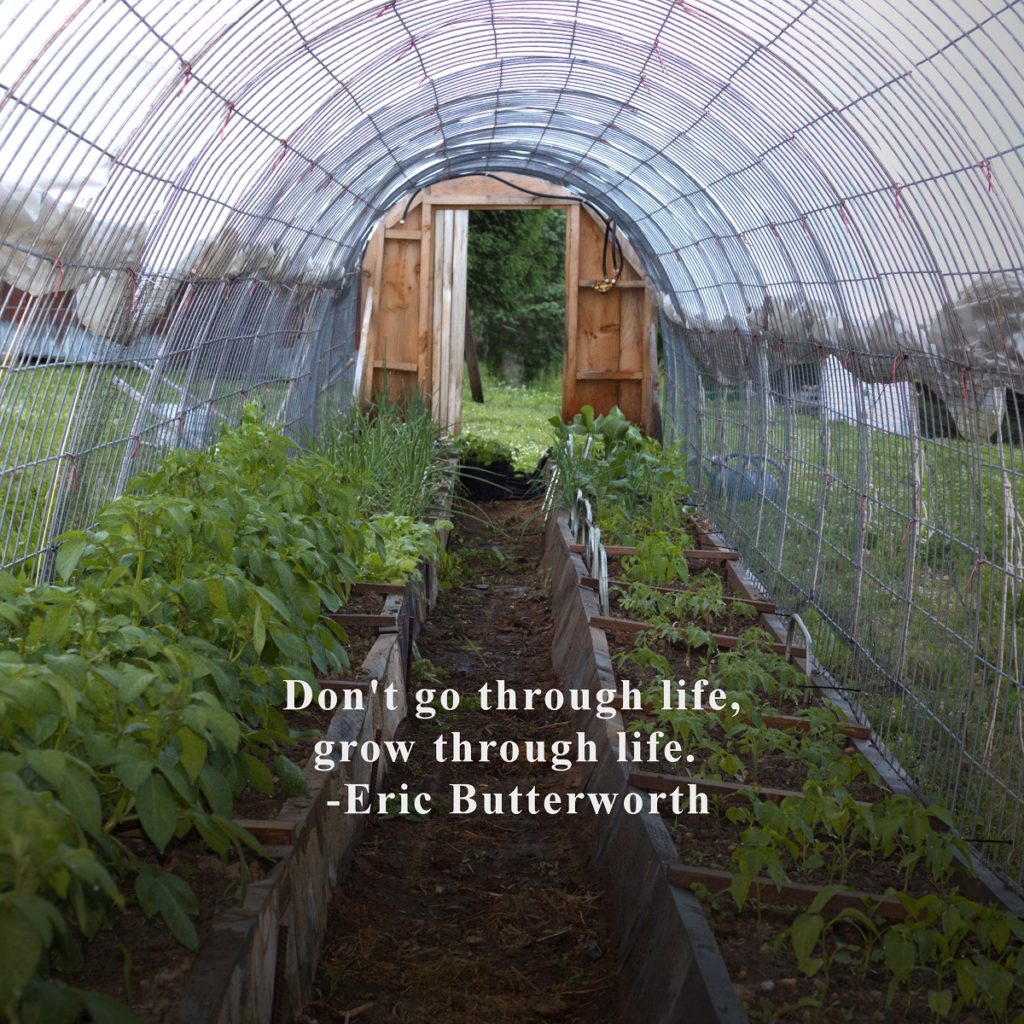 Don’t go through life, grow through life.  – Eric Butterworth