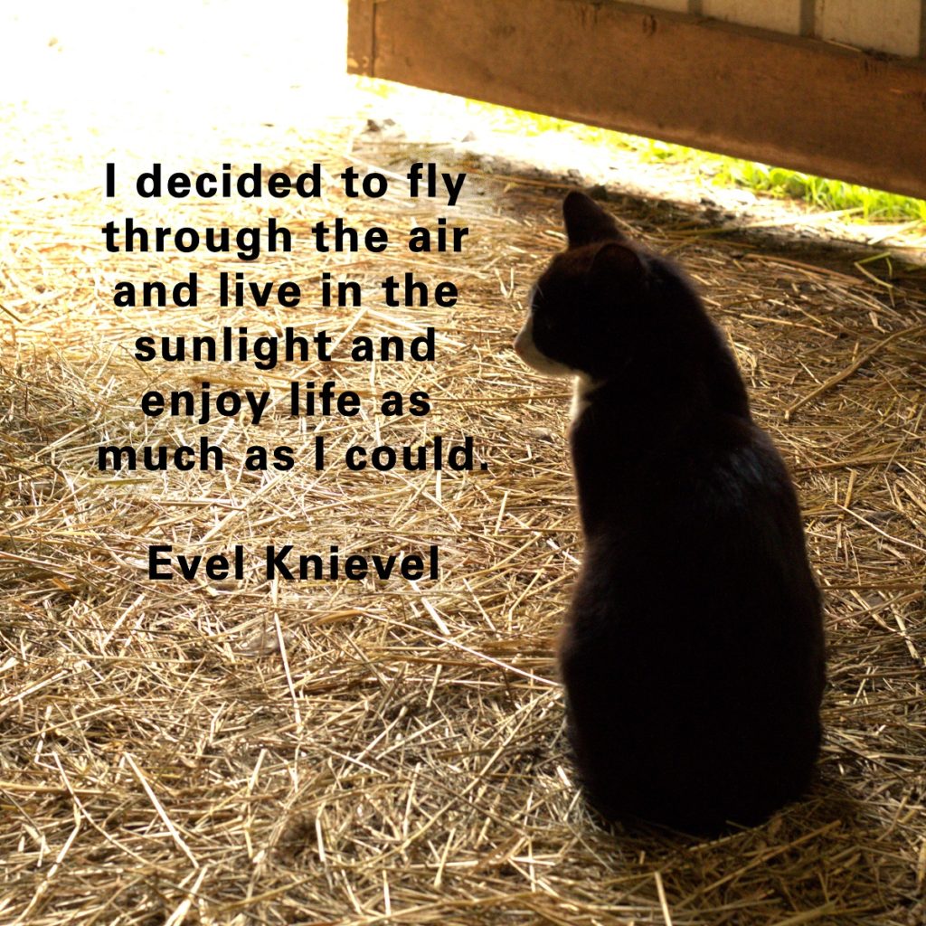 “I decided to fly through the air and live in the sunlight and enjoy life as much as I could”.  -Evel Knievel