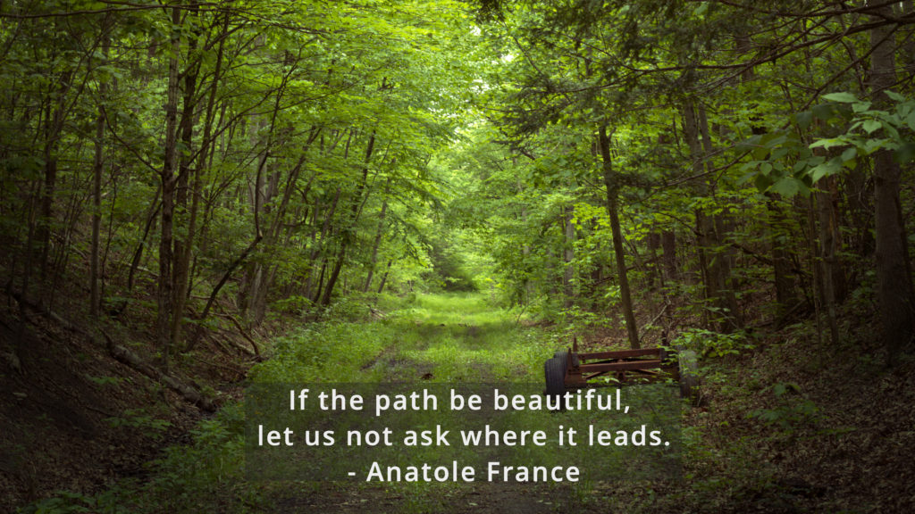 If the path be beautiful, let us not ask where it leads. – Anatole France