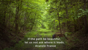 If the path be beautiful, let us not ask where it leads. - Anatole France #pioneermountainhomestead #quoteoftheday #pmhomestead #forest #raystownfarm #raystownfarms