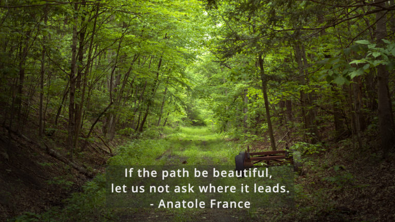 If the path be beautiful, let us not ask where it leads. - Anatole France #pioneermountainhomestead #quoteoftheday #pmhomestead #forest #raystownfarm #raystownfarms