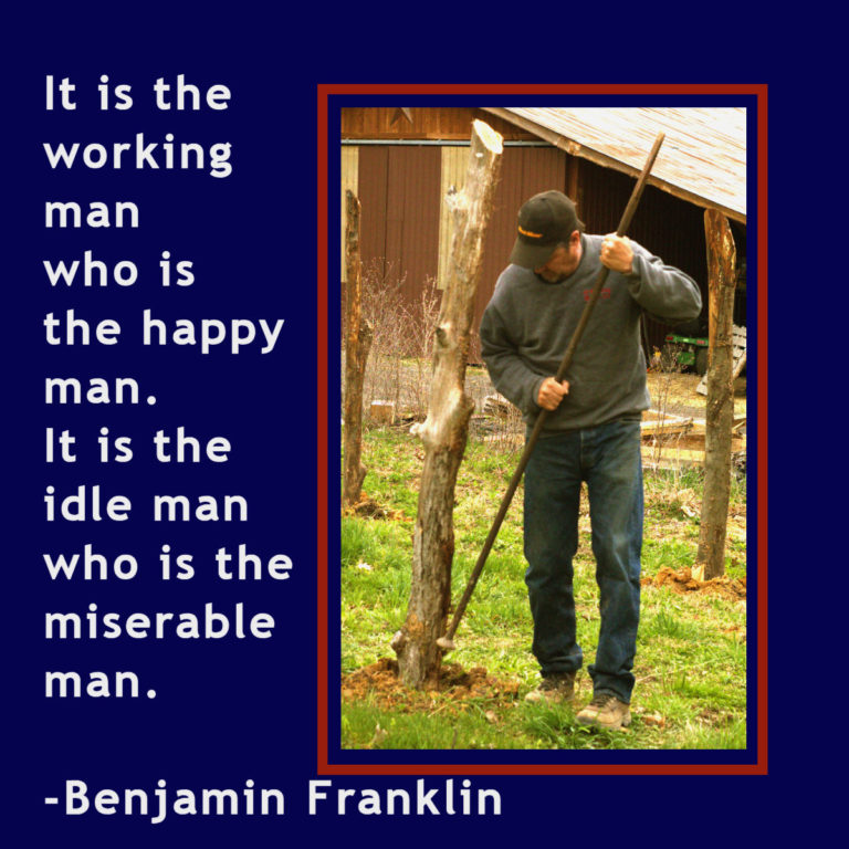 It is the working man who is the happy man. It is the idle man who is the miserable man. – Benjamin Franklin