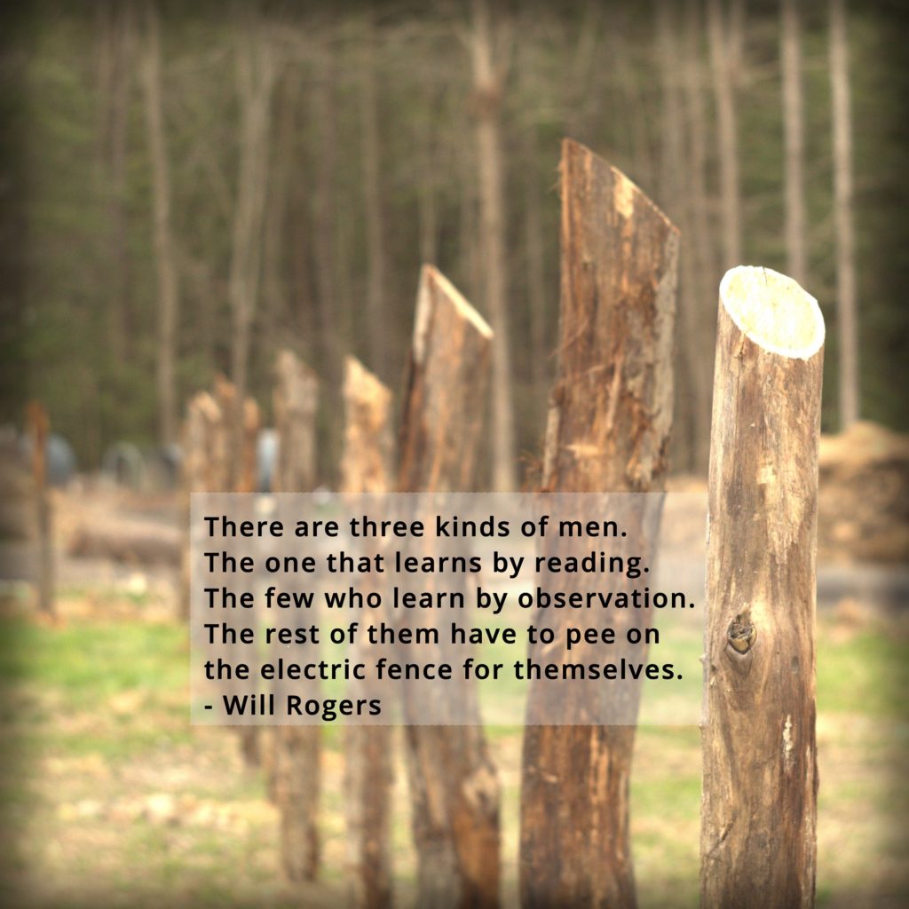 There are three kinds of men. The one that learns by reading. The few who learn by observation. The rest of them have to pee on the electric fence for themselves.  -Will Rogers