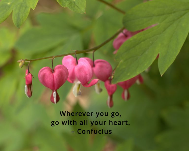 Wherever you go, go with all your heart. – Confucius