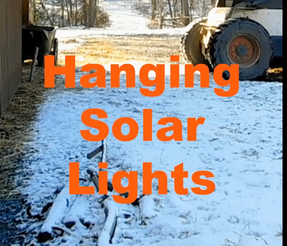 Hanging Solar Lights at the Homestead