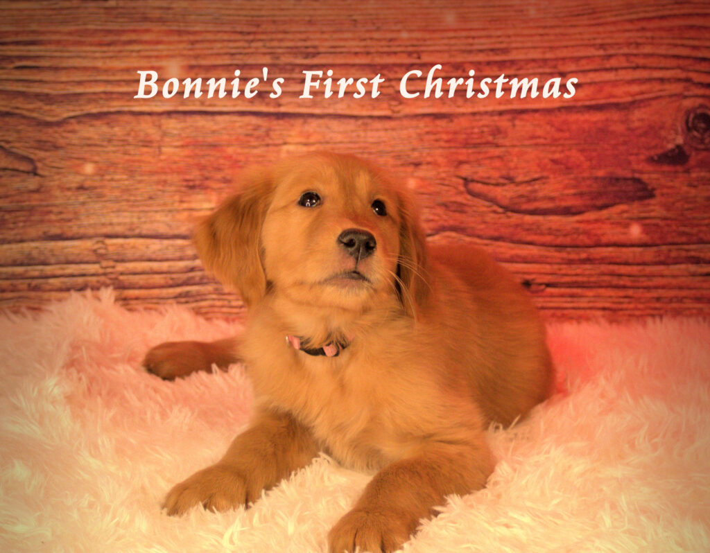 Bonnie and Clyde’s First Christmas (The Woodhounds)