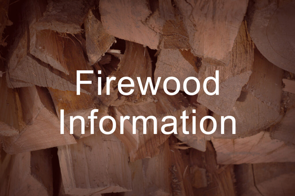 Interesting Information on Firewood