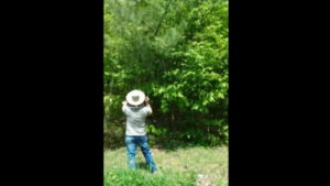 Josh controlling the honeybees.