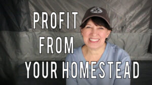 profit from your homestead