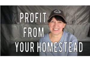 profit from your homestead feature image
