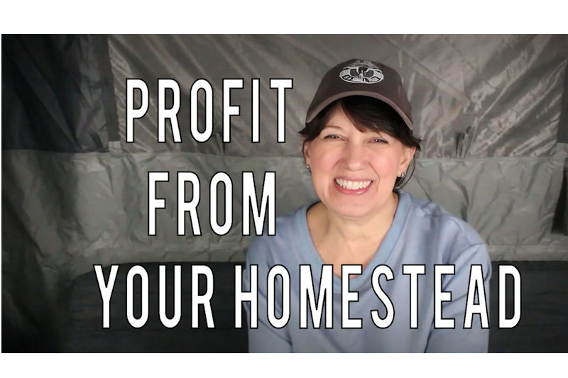 profit from your homestead feature image