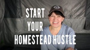 start your homestead hustle