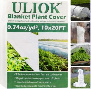 uliok blanket plant cover