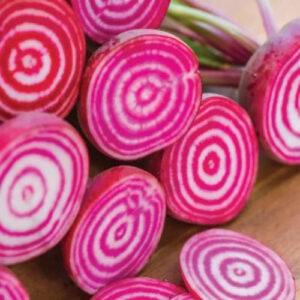 chioggia beet