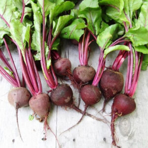 Crosby Egyptian Beets
