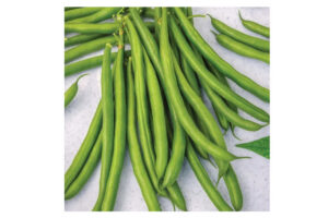 desperado beans 800 533 Desperado Beans