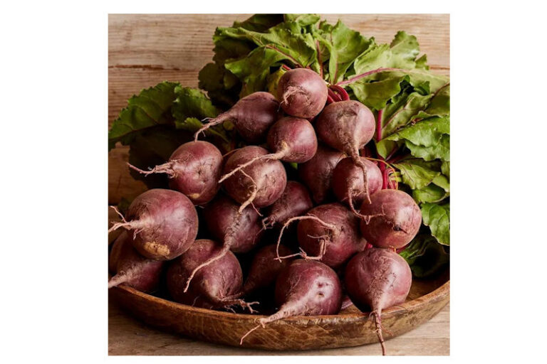 Heirloom Detroit Dark Red Beets