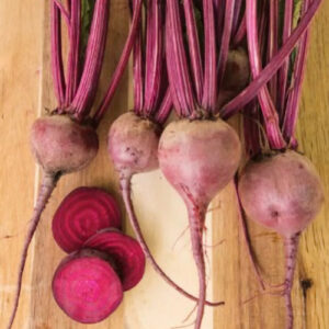 merlin hybrid beet