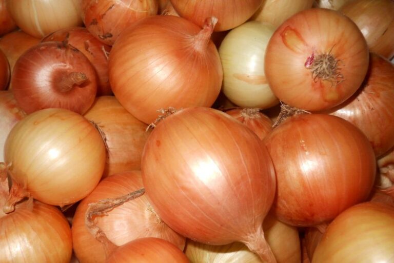 Onions
