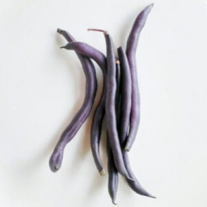 royalty purple bush bean