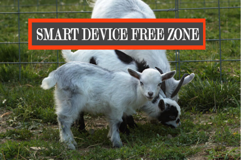 Smart Device Free Zone