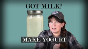 thumbnail yogurt for rumble thumbnail yogurt for rumble