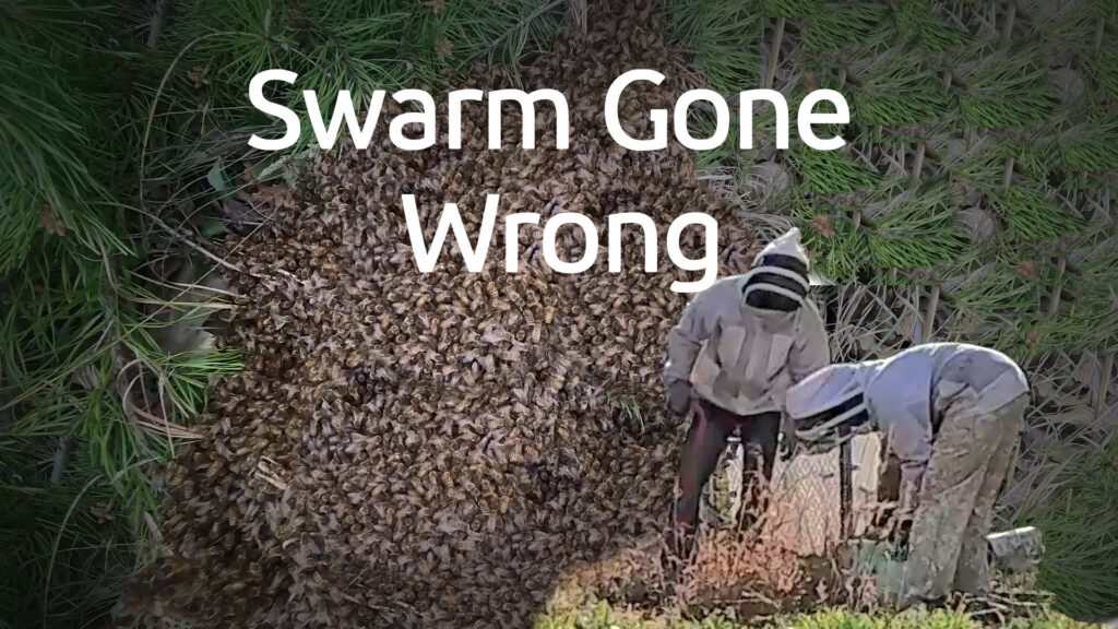thumbnail1 swarm gone wrong