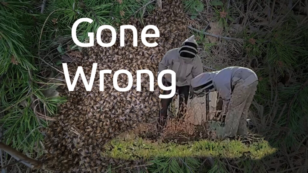 thumbnail4 gone wrong thumbnail4 gone wrong