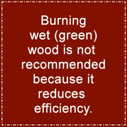 Burning wet (green) wood is not recommended because it reduces efficiency.