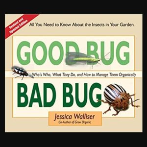 Good Bug Bad Bug by Jessica Walliser