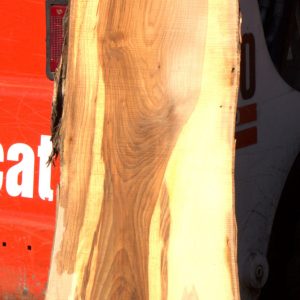 Hickory Rough Cut slab for sale