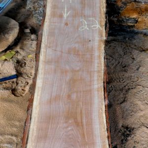 White Oak Rough Cut Lumber